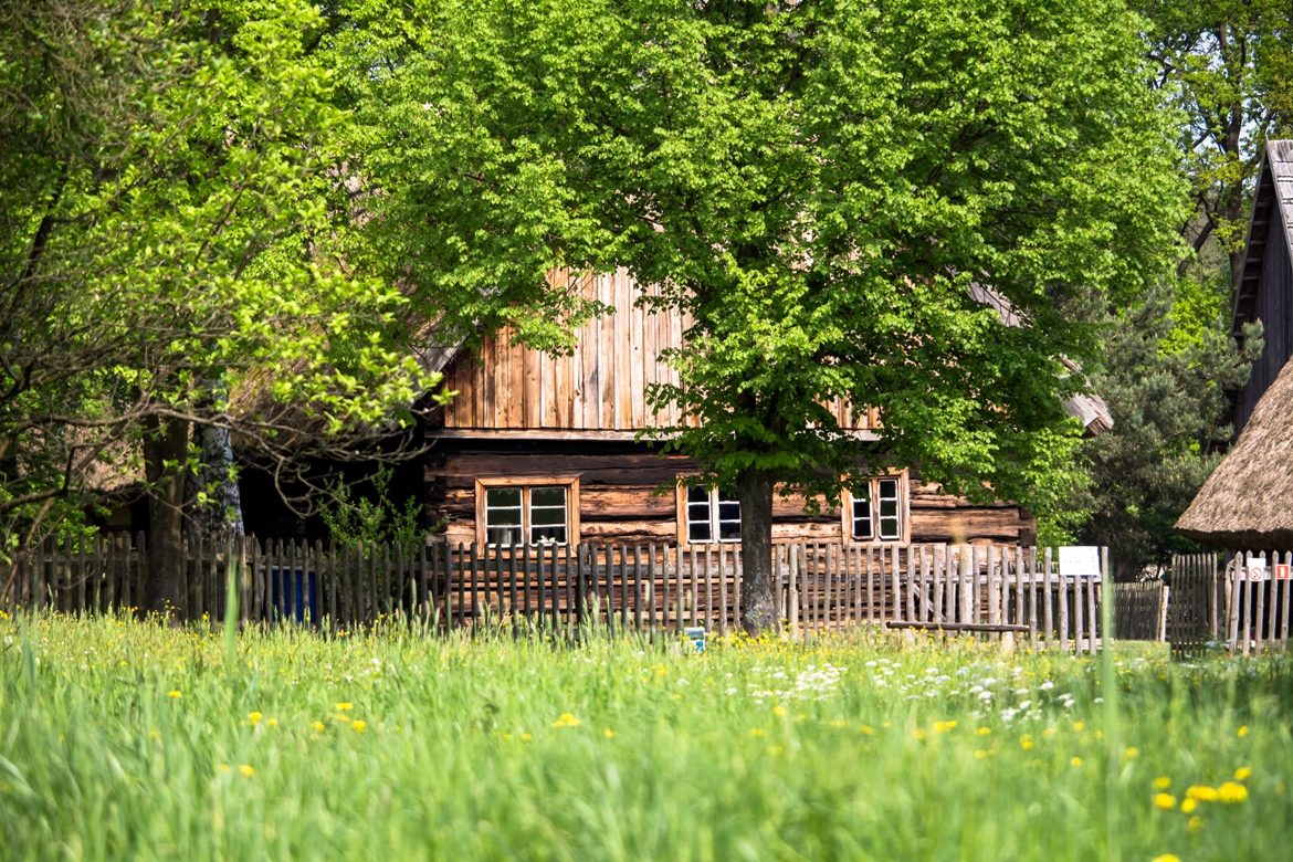 Kansatieteellinen museo