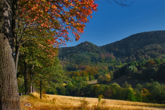 Berget Ślęża