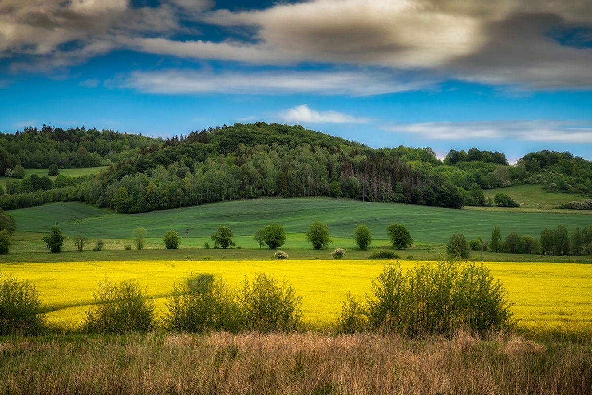 200530__DSC1183-HDR-xl_1200x800.jpg