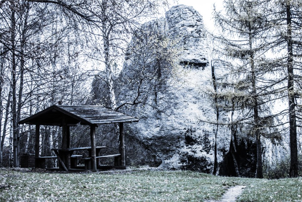 Kraków-Częstochowa Upland