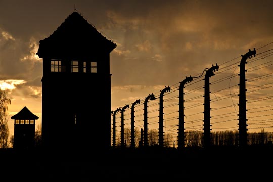 Aschwitz_Birkenau_540.jpg