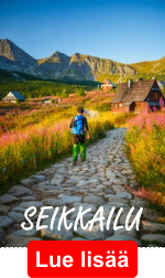 seikkailu